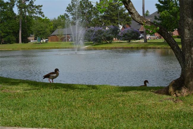 This is such a happy subdivision to live and enjoy. | Image 35