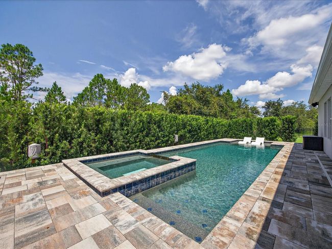 Luxurious 40' Saltwater Pool and 8'x8' Spa | Image 4