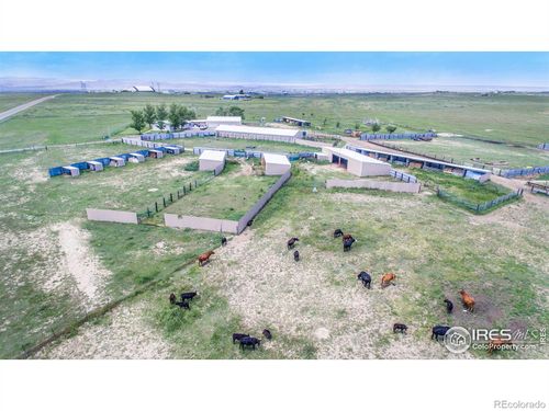 7557 County Road 100, Wellington, CO, 80549-1650 | Card Image