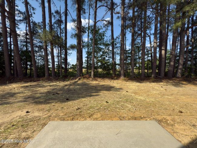 171 Traveller Way, House other with 4 bedrooms, 3 bathrooms and 2 parking in Raeford NC | Image 19