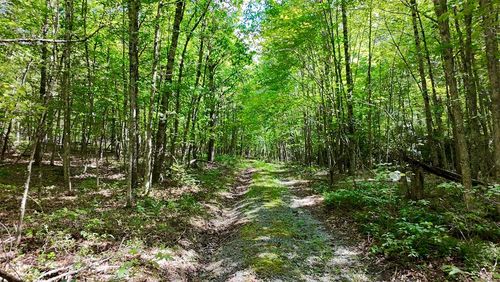 TBD Crawfish Rd, Atkins, VA, 24311 | Card Image