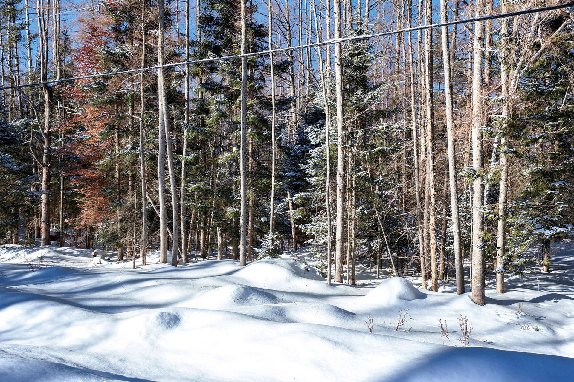 Land in Mont-Tremblant
