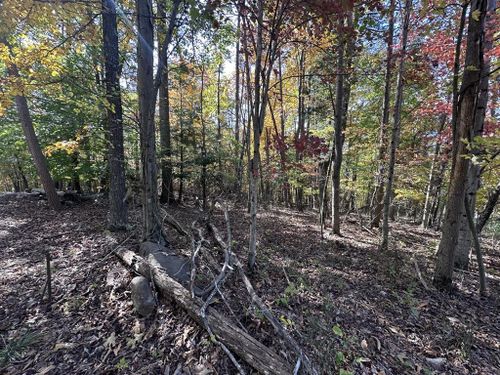 Lot 58 Bee Tree Dr., Peterstown, WV, 24963 | Card Image