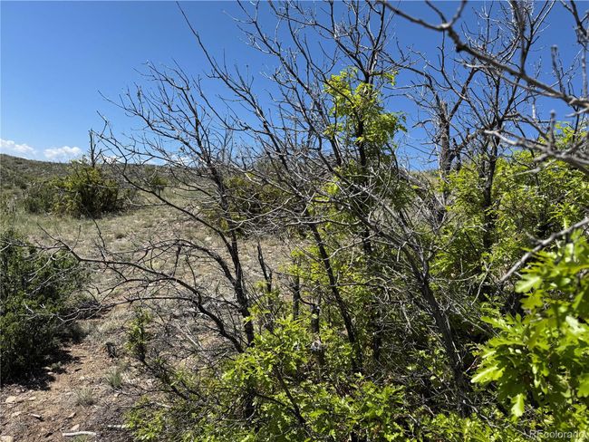 29 18 X, Home with 0 bedrooms, 0 bathrooms and null parking in Cotopaxi CO | Image 16