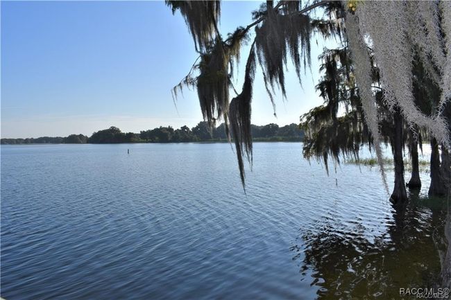 11 S Heron Creek Loop, House other with 2 bedrooms, 2 bathrooms and 1 parking in INVERNESS FL | Image 25
