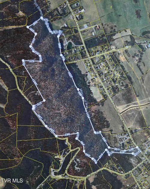 355 N Austin Springs Rd, Piney Flats, TN, 37686-4705 | Card Image