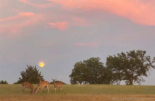 8550 County Road 1570, Ada, OK, 74820-5749 | Card Image