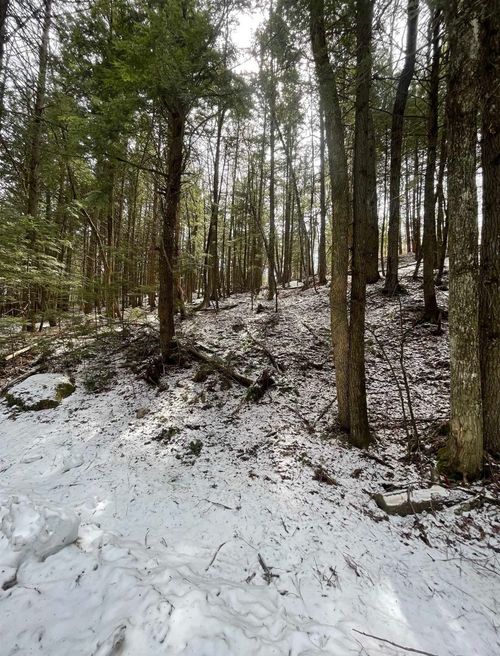 000 Hinkley Brook Rd, Grafton, VT, 05146 | Card Image