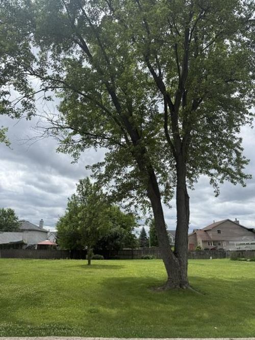 Lt0 Willow Road, Twin Lakes, WI, 53181 | Card Image