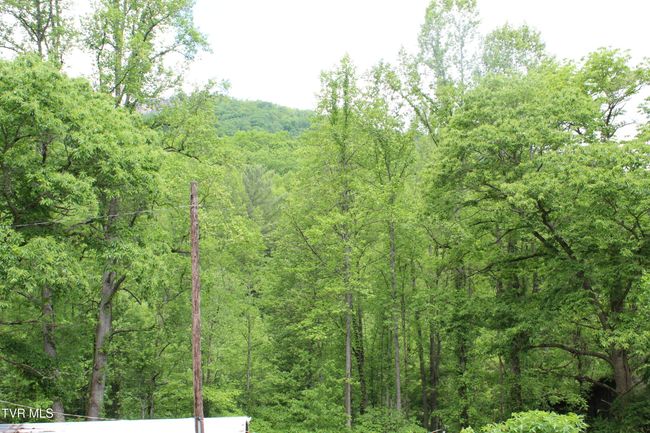 Mountain Views | Image 7