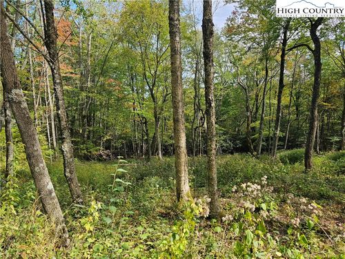 Lot 29 Lee Gualtney Rd, Banner Elk, NC, 28604 | Card Image