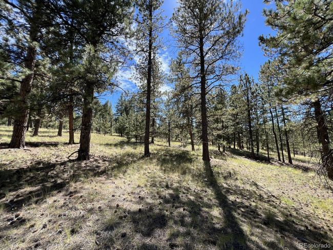 82 Kiowa Cir, Home with 0 bedrooms, 0 bathrooms and null parking in Westcliffe CO | Image 24