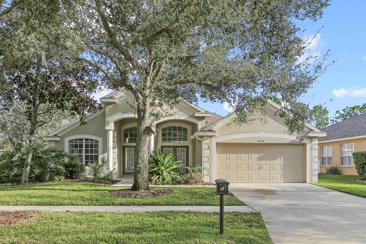 16533 Bridgewalk Drive, For Rent in Lithia Zoocasa
