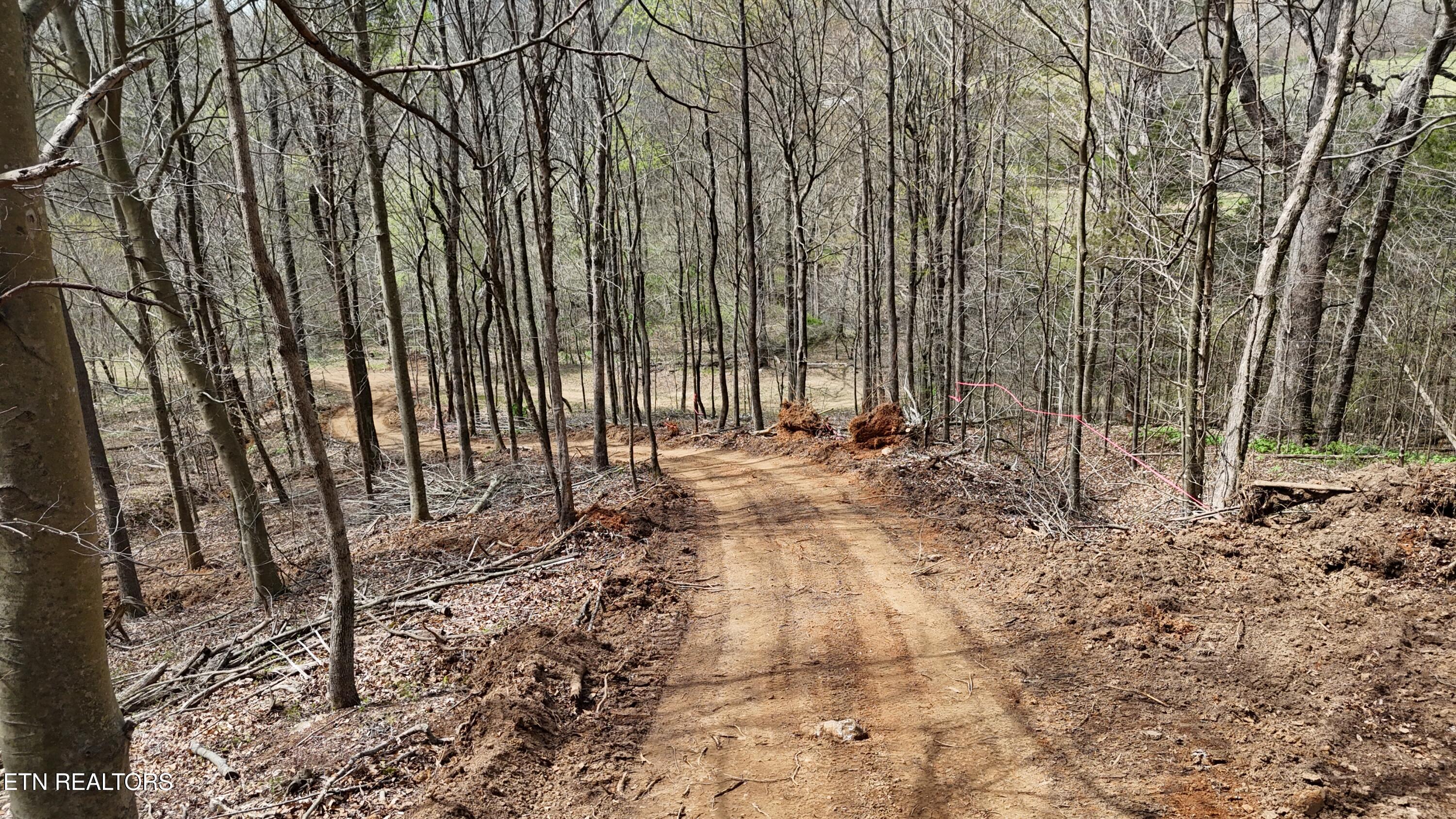 Land in Decatur 3