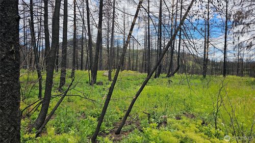 34 XX Lael-Flat Creek Road, Kettle Falls, WA, 99141 | Card Image