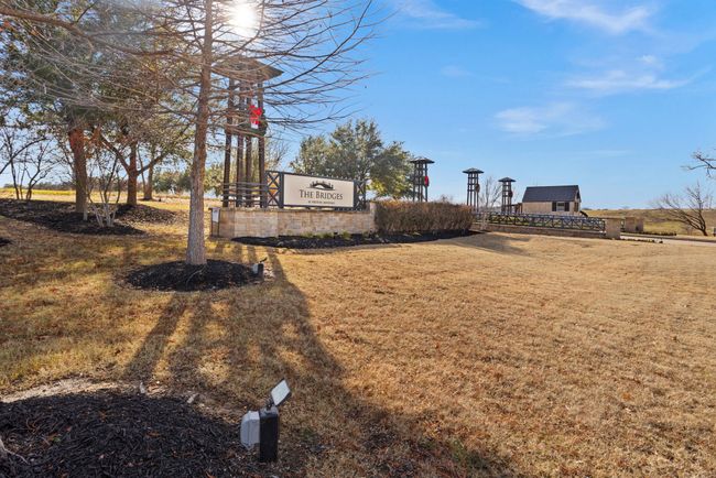 View of yard | Image 13