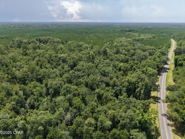 0 River Rd. Road, Home with 0 bedrooms, 0 bathrooms and null parking in Bascom FL | Image 8