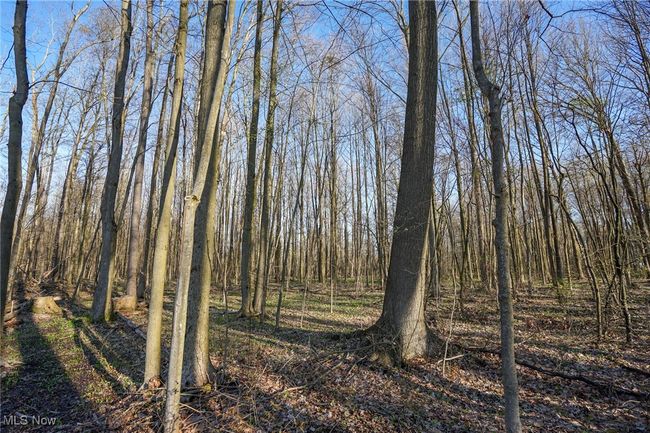 View of landscape featuring a wooded view | Image 30