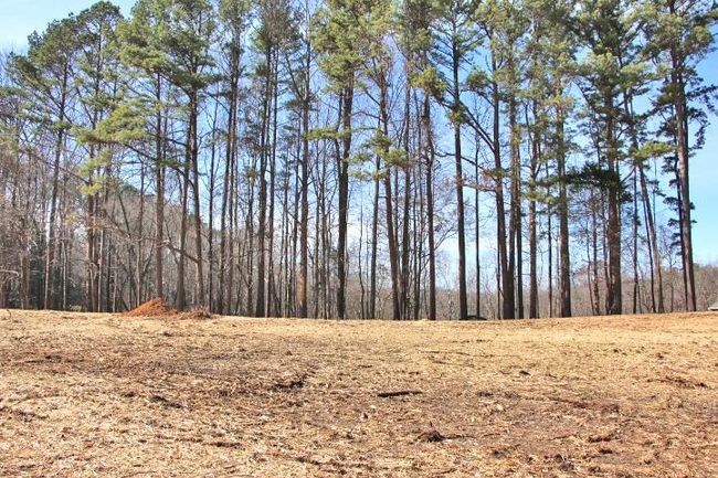 Lot 80 &amp; 81 Cherokee Road, Home with 0 bedrooms, 0 bathrooms and null parking in Lucas KY | Image 9