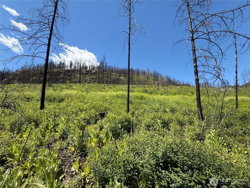 0 Lot 32 4th Of July Creek Rd, Danville, WA, 99121 | Card Image