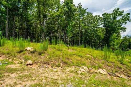 0 Ridge St, Morganton, GA, 30560 | Card Image