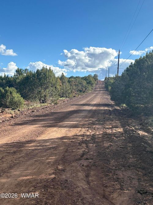 25 County Road 8238 Road, Vernon, AZ, 85940 | Card Image