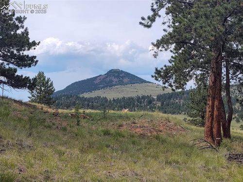 220 Reed Cir, Florissant, CO, 80816 | Card Image