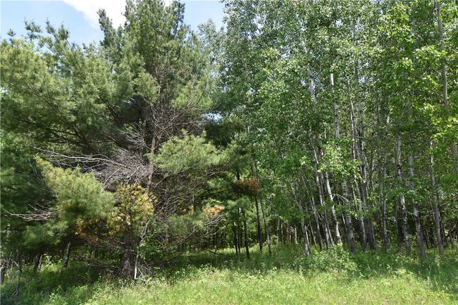 6 151 St St, Home with 0 bedrooms, 0 bathrooms and null parking in New Auburn WI | Image 22