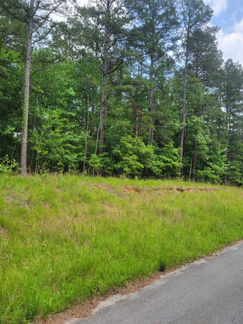 cwl201-0 Dogwood Dr, Saulsbury, TN, 38067 | Card Image