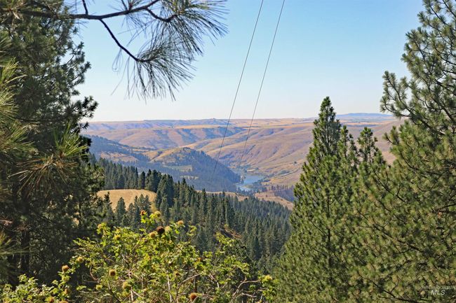 Mountain view with a forest | Image 48