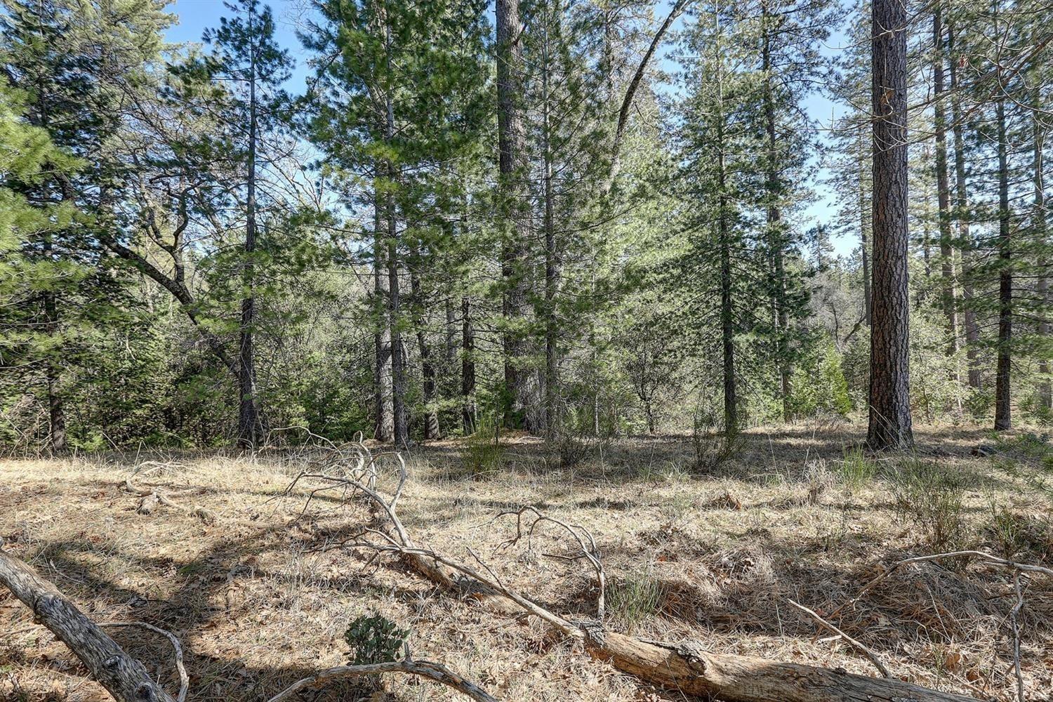 Land in Grass Valley 4