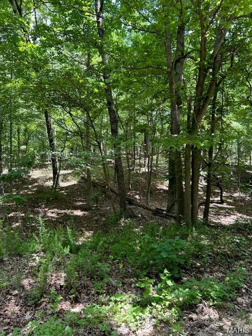 0 Hargrove Rd, Saint Robert, MO, 65584 | Card Image