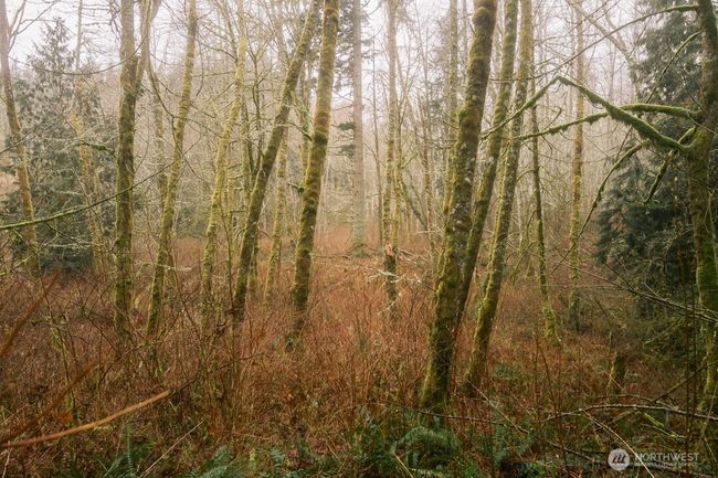 0 Princeton Ct, Home with 0 bedrooms, 0 bathrooms and null parking in Bellingham WA | Image 10