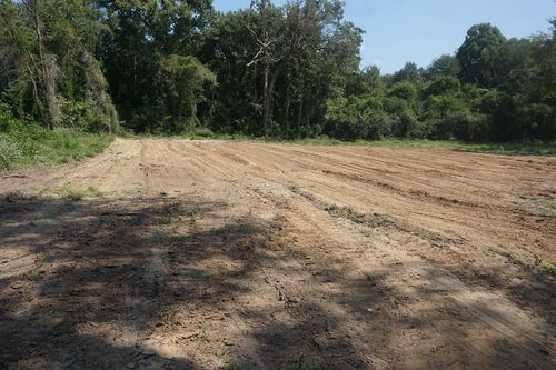 166 An County Road 2920, Palestine, TX, 75801 | Card Image