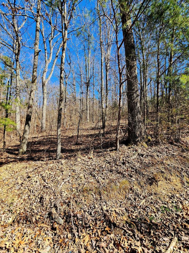 0 N Woods Ln, Home with 0 bedrooms, 0 bathrooms and null parking in Trenton GA | Image 5