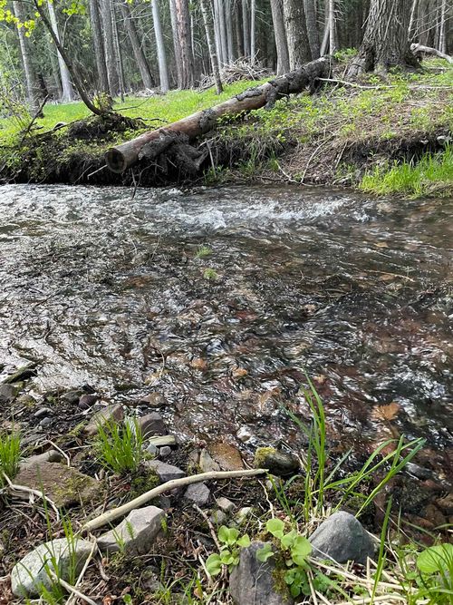 245 Night Hawk Ln, Newport, WA, 99156-5449 | Card Image