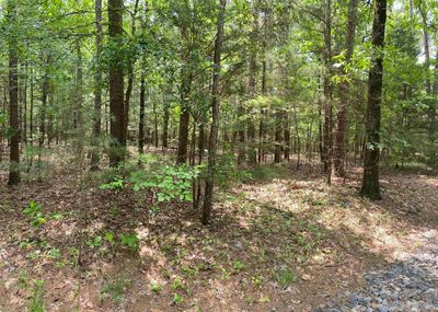 Lot 93 Tannenbaum Road, Home with 0 bedrooms, 0 bathrooms and null parking in Drasco AR | Image 3