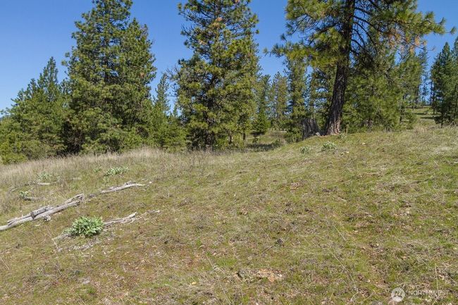 1622 Palmer Loop, Home with 0 bedrooms, 0 bathrooms and null parking in Chewelah WA | Image 7