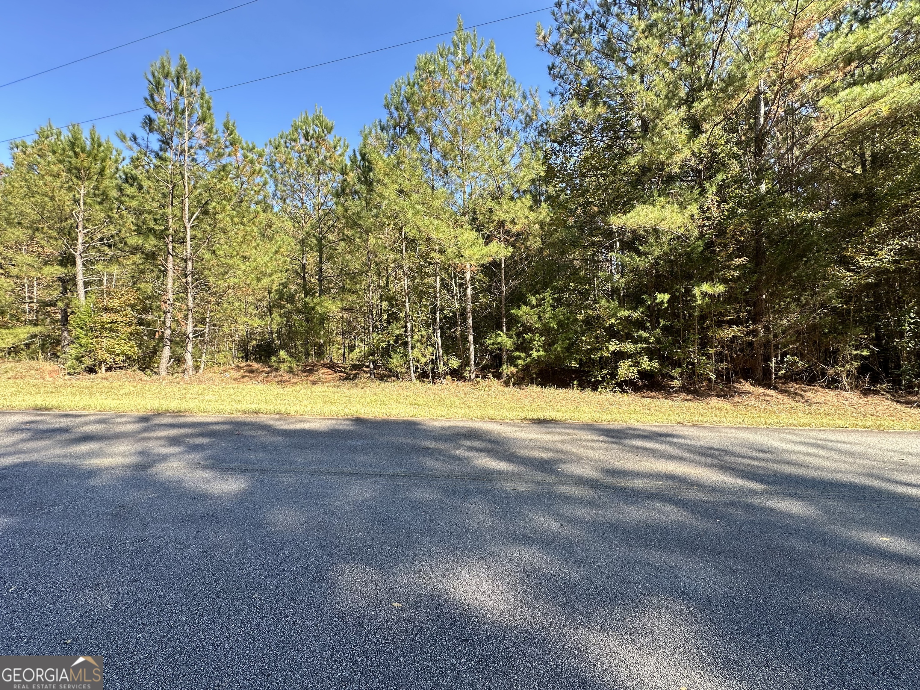 Land in Lincolnton 3