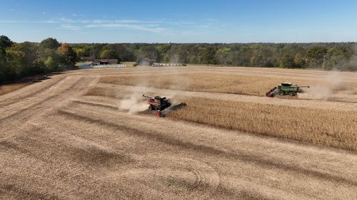 0 Terry Rd, Fulton, KY, 42041 | Card Image