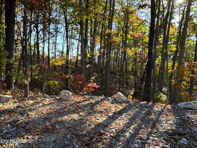 0 Mountain Ash Way, Home with 0 bedrooms, 0 bathrooms and null parking in Sevierville TN | Image 4