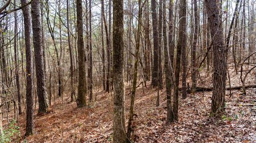 0 Dove Ct, WILSONVILLE, AL, 35186 | Card Image