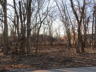 lot 58 Timber Edge Drive, Home with 0 bedrooms, 0 bathrooms and null parking in Morris IL | Image 2