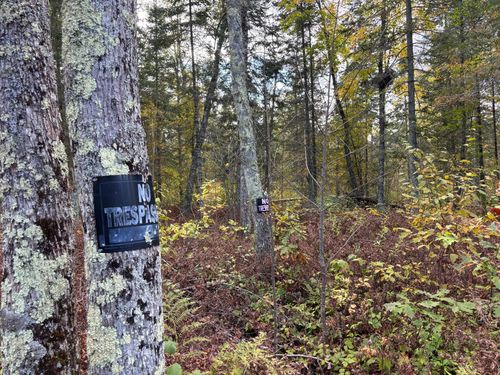 TBD Grove St, Palisade, MN, 56469 | Card Image