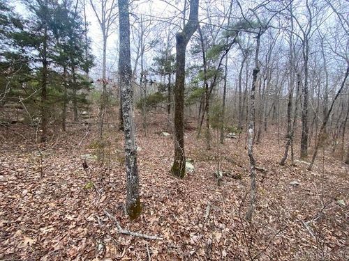 Lot 76 Mustang Dr, Clinton, AR, 72031 | Card Image