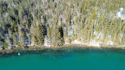 0 Map Wa032 Plan 05 Lot 31.1 Road, Trescott Twp, ME, 04631 | Card Image