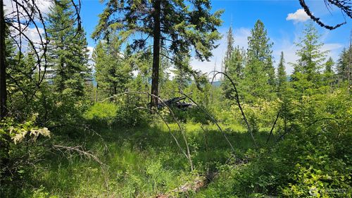 432 X Bussard Lake Rd, Loon Lake, WA, 99148 | Card Image