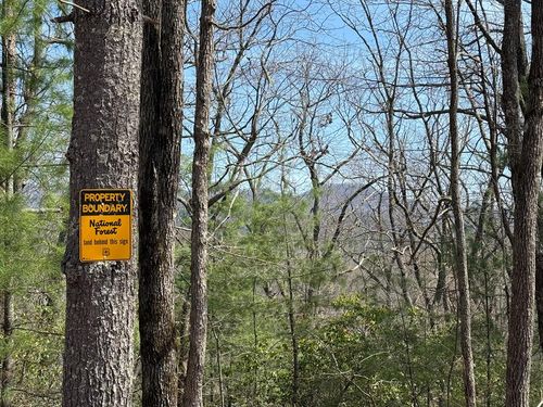 0 Hiwassee Dam Access, Murphy, NC, 28906 | Card Image