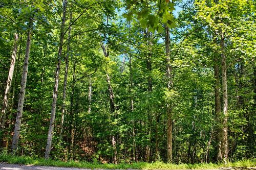 Lot 18 Wilderness Walk, Blairsville, GA, 30512 | Card Image