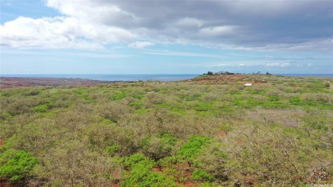 LOT-38 - 000 Kalua Koi Rd, Home with 0 bedrooms, 0 bathrooms and null parking in Maunaloa HI | Image 13